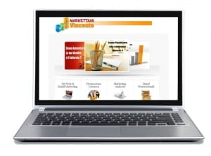 Website consulting business