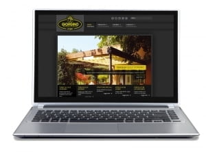 Website design