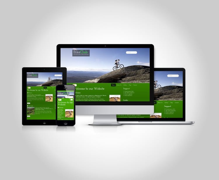 Professional website